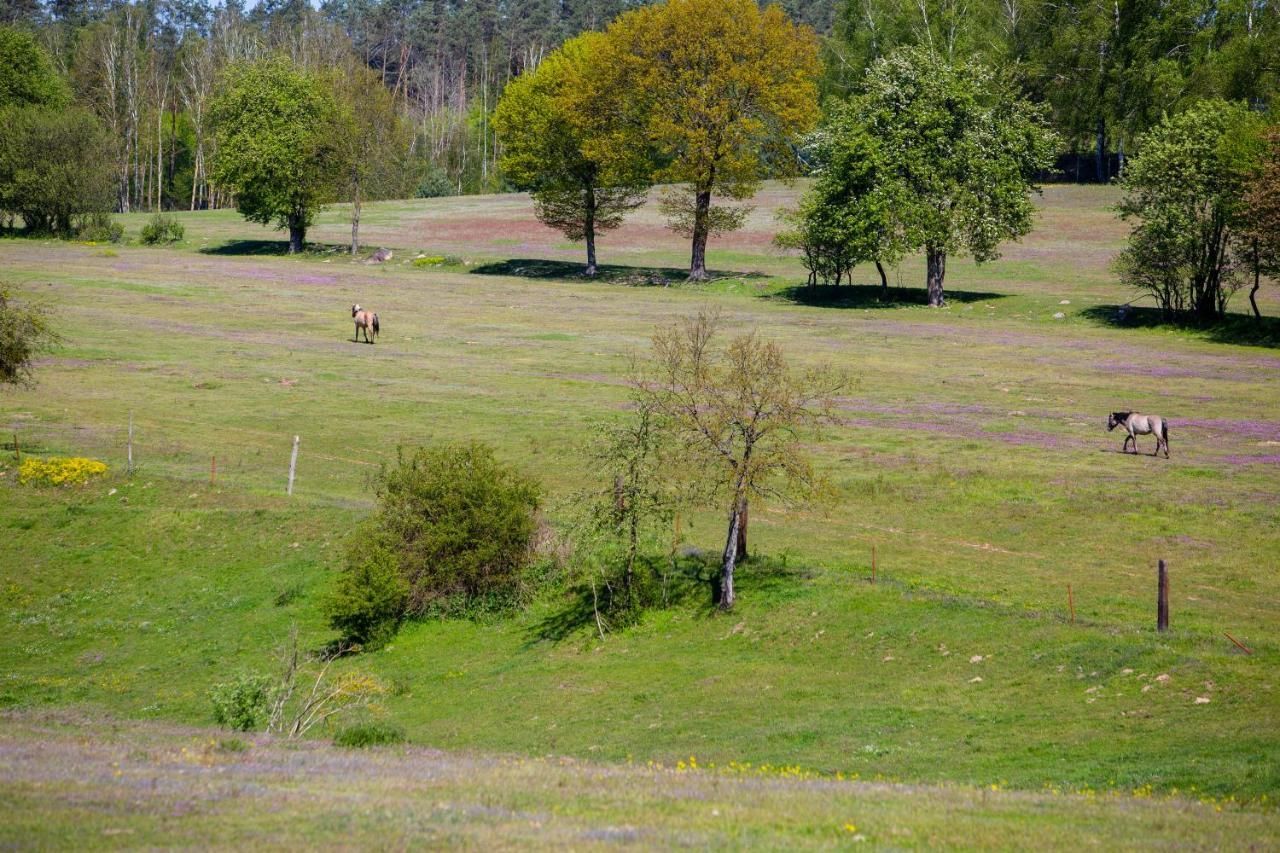 Przystan Lagowek - Domki Letniskowe Exteriör bild